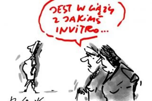 Kiedy in vitro nie ma sensu? Poznaj kluczowe przeciwwskazania