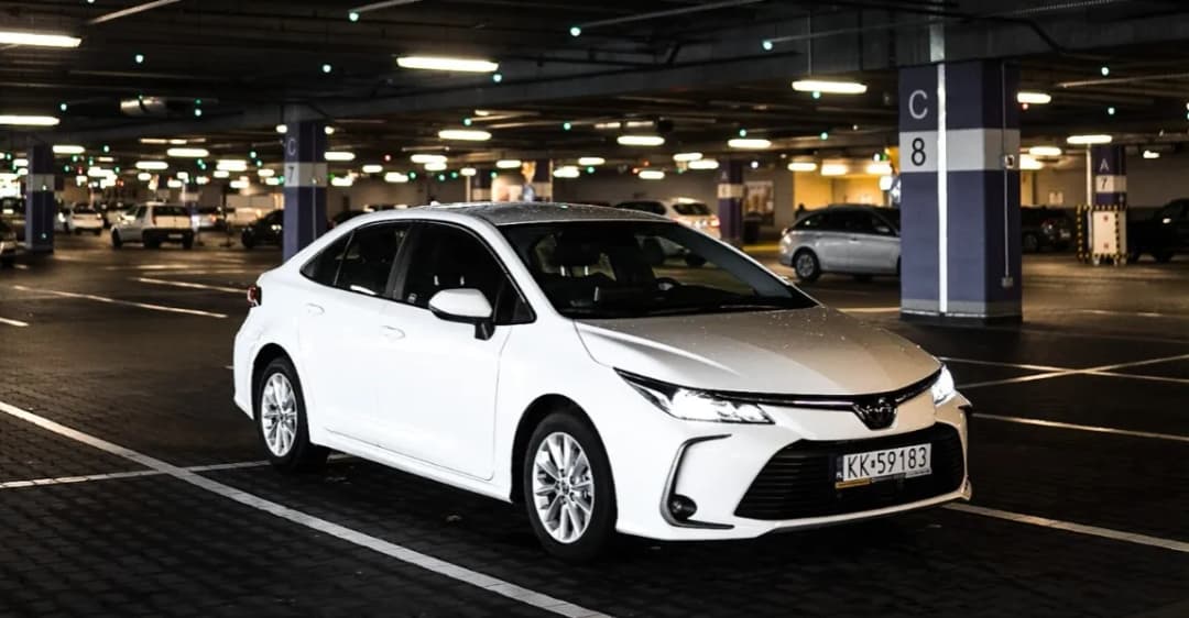 Co ludzie najczęściej wypożyczają? Odkryj popularne wynajmy i trendy